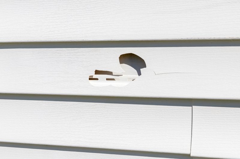 Professional Vinyl Siding Repair